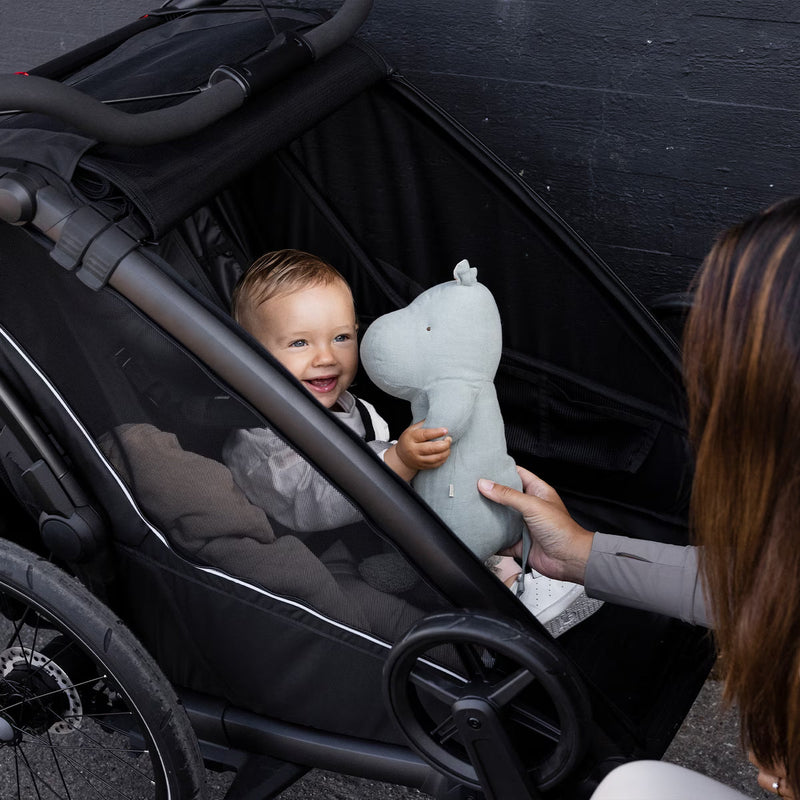 Thule Chariot Sport 2 Double