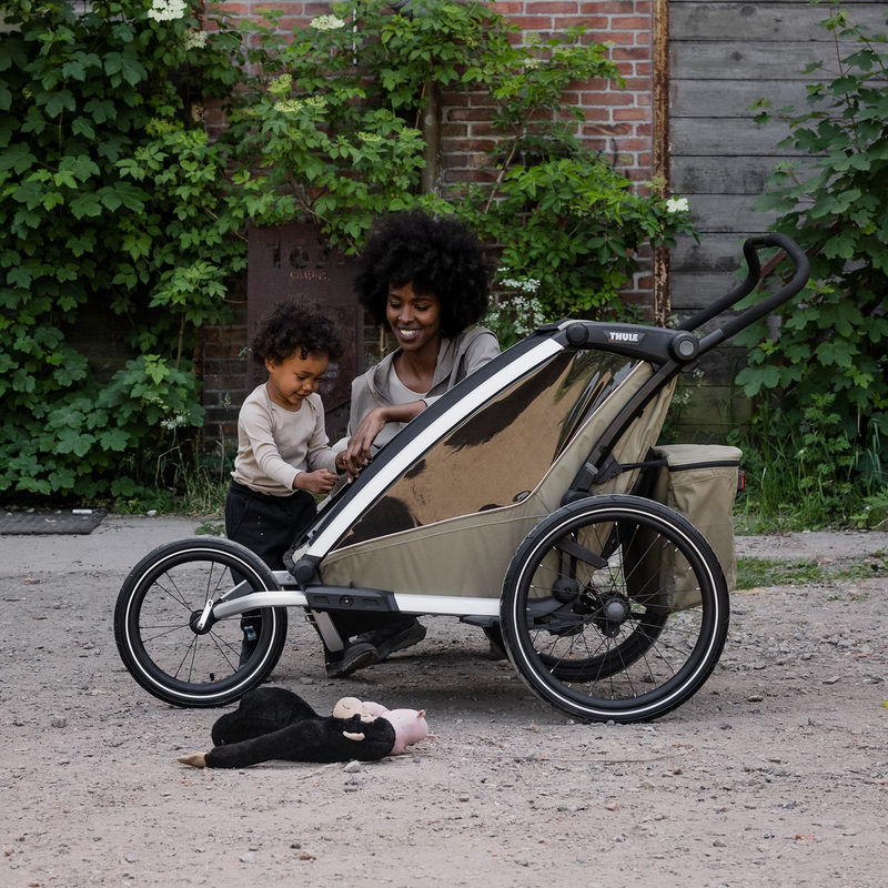 Thule Chariot All-Terrain Kit