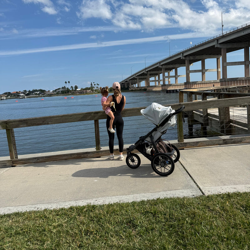 UPPAbaby Ridge V2 All-Terrain Stroller
